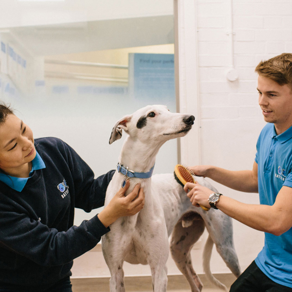 Image for Our animal care