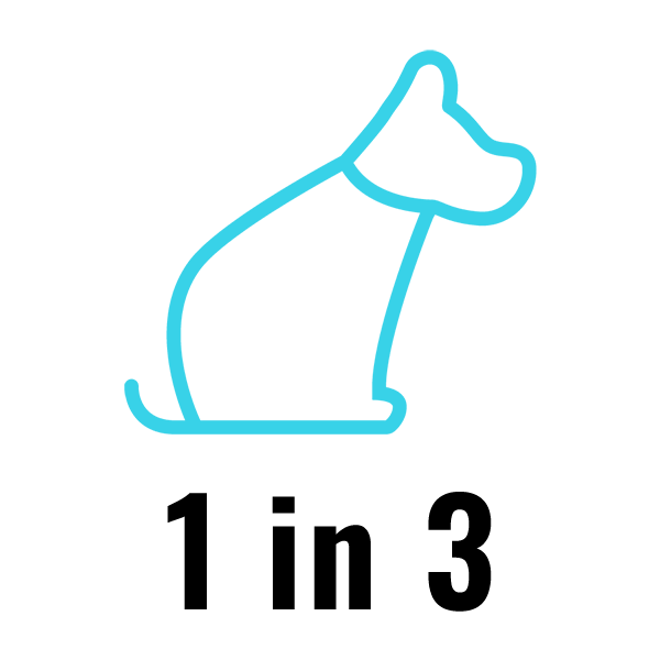 Outline of a dog with the text '1 in 3', representing how many dogs and cats are homeless worldwide. 